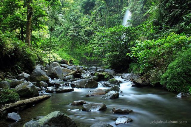 Hutan Lindung Palabuhanratu