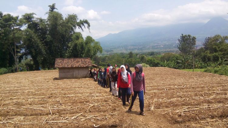 Kegiatan Luar Biasa yang Dapat Dilakukan Oleh Mahasiswa Pertanian