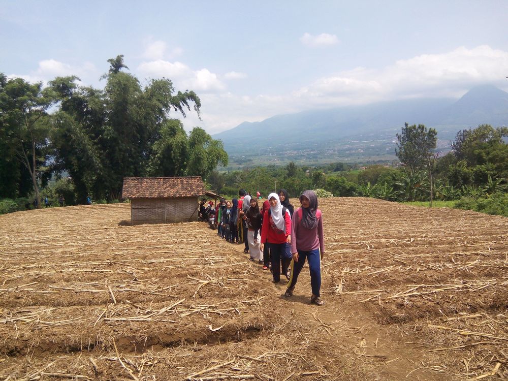 Kegiatan Luar Biasa yang Dapat Dilakukan Oleh Mahasiswa Pertanian