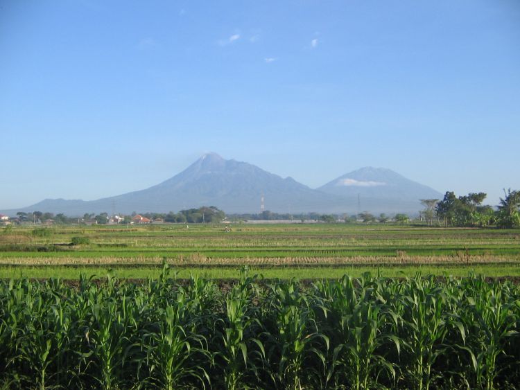 Merapi Merbabu yang gagah di utara sudah bisa menimbulkan damai di muka