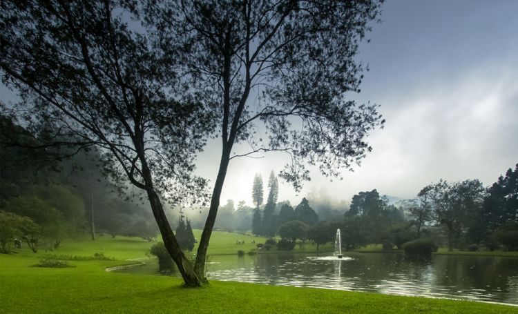 KEbun Raya Cibodas