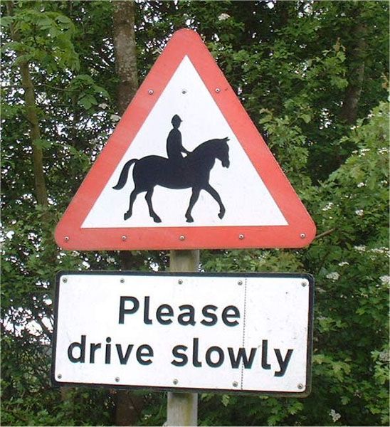 Road-sign-horse