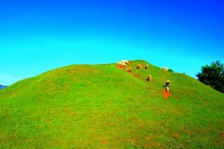 Hijaunya Candi Abang dan birunya langit begitu sempurna