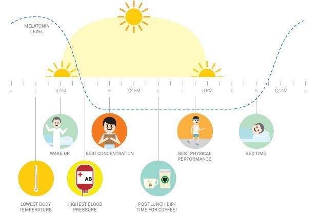 Gunakan teknik Circadian Rhythm