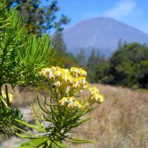 [Kuis] Destinasi Wisata Mana yang Cocok Buat Kamu?