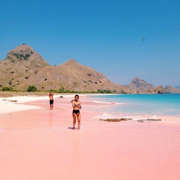 Pink beach, Flores yang virgin