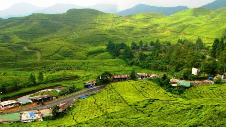 Inilah Alasan Kenapa Puncak Bogor Selalu Menjadi Magnet Warga Ibukota