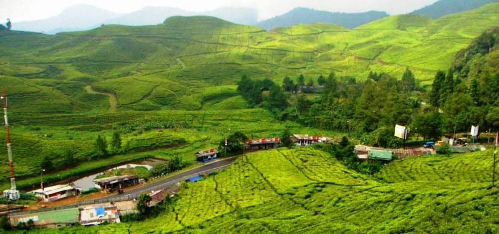 Inilah Alasan Kenapa Puncak Bogor Selalu Menjadi Magnet Warga Ibukota