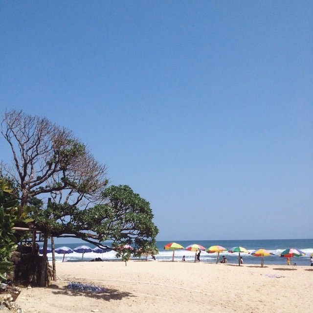 Pantai Pok Tunggal dengan Pohon Duras nan legendaris menanti didatangi (Kredit: @rezapradinata)