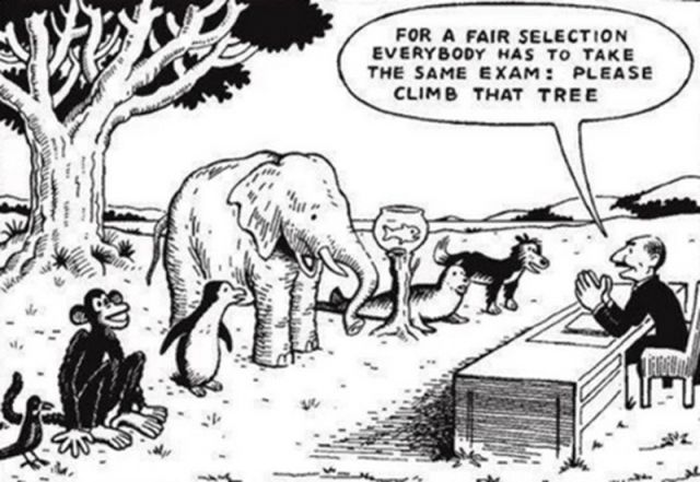 Our education system