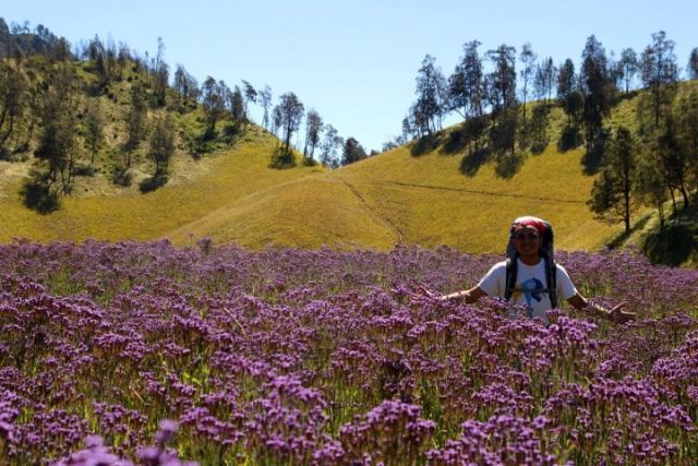 Padang rumput Oro-oro Ombo.