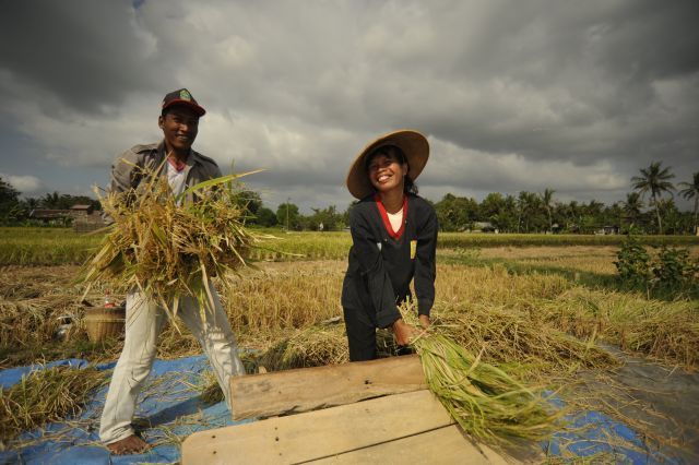 Petani di Indonesia