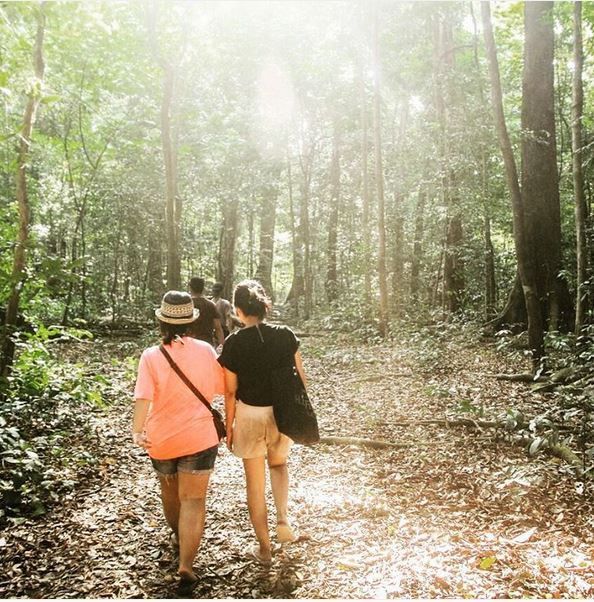 Taman nasional di Indonesia