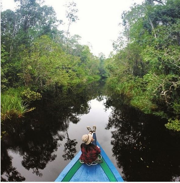 Taman nasional di Indonesia