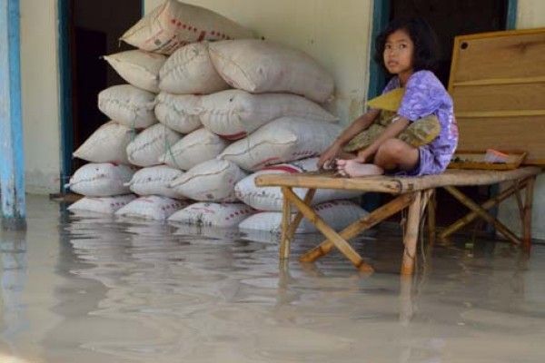 Dek, gabahnya kerendem banjir tuh