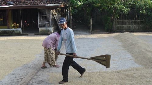 Semangat banget, Pak