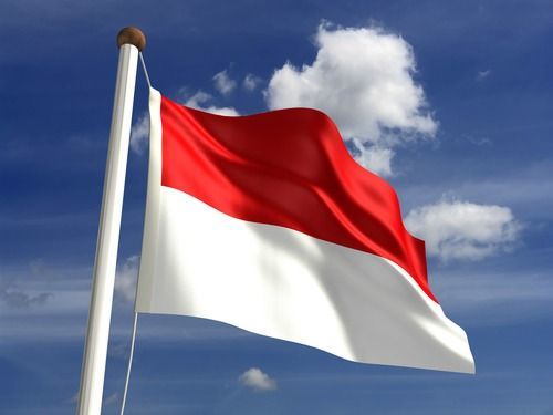 Apakah Nasionalisme Dianggap Luntur Lantaran Tak Pernah Upacara Bendera?