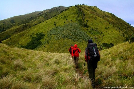 Sabana Gunung Merbabu.