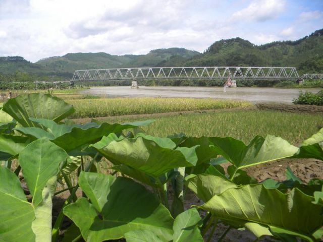 jembatan