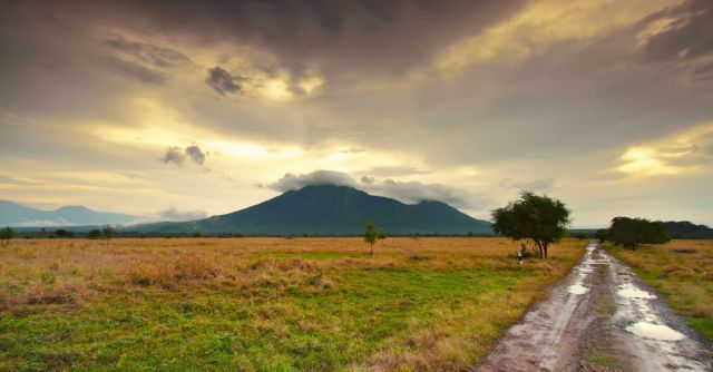 Savana Bekol, Baluran.