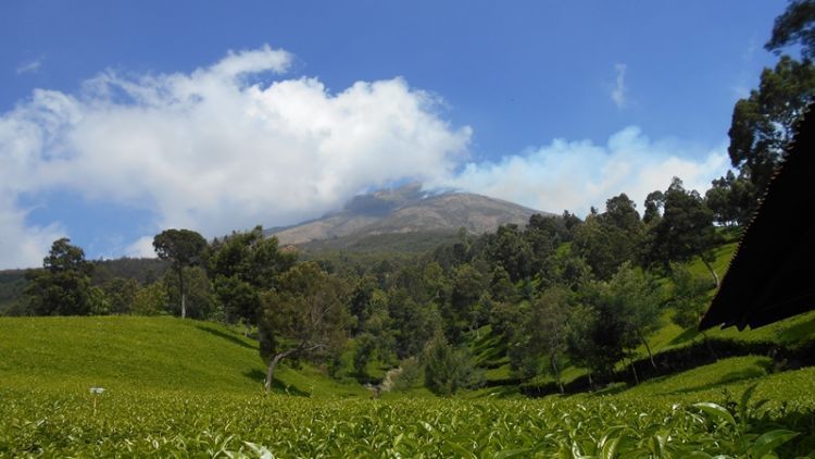 9 Gunung di Jawa Tengah yang Keindahannya Akan Membuatmu Terperangah