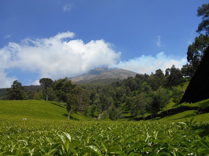 9 Gunung di Jawa Tengah yang Keindahannya Akan Membuatmu Terperangah