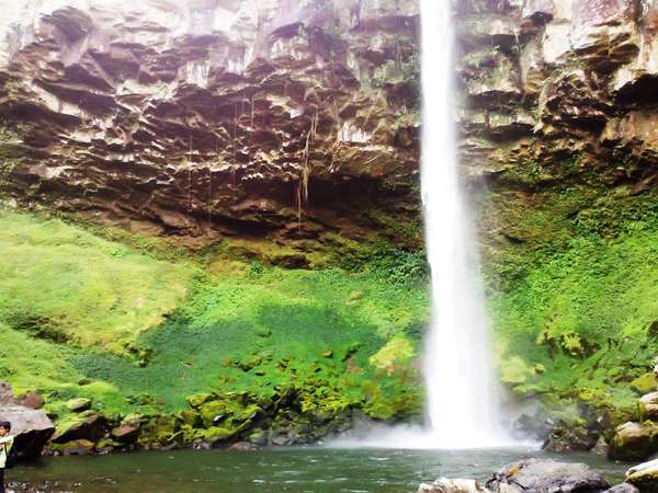 Kesegaran Air Yang Jatuh Dari Air Terjun Putri Malu