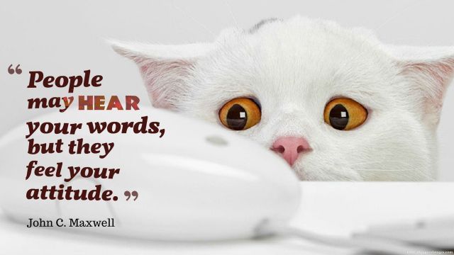 People May Hear your Words, but they fell your attitude