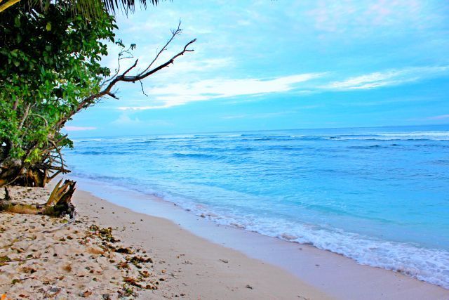 Cantiknya Pantai Tanjung Setia