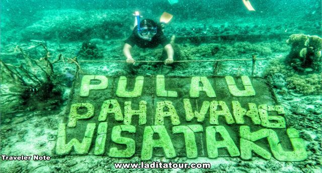 Keindahan Dunia Bawah Laut di Pulau Pahawang