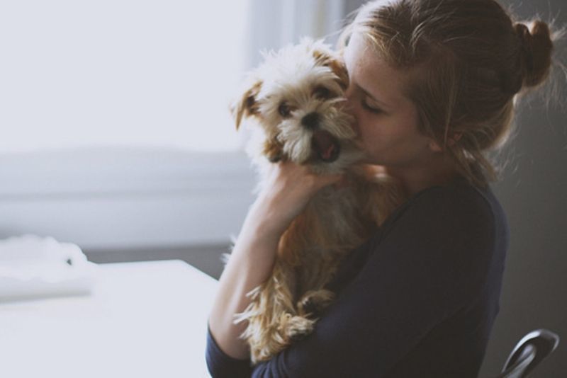 Bukan Sekadar Hewan Peliharaan. Seperti Seorang Teman, Anjing Pun Layak Mendapat Penghargaan