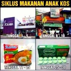 siklus hidup anak kos