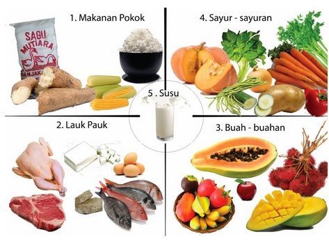 Makanan 4 Sehat 5 Sempurna