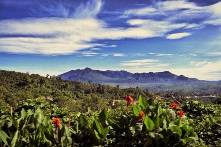 Dari Aceh Sampai Papua, Inilah Surga-surga Kopi yang Layak 