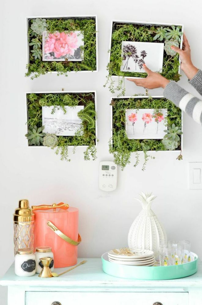 Succulent frame / Rue Magazine