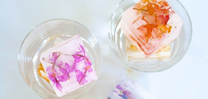 Floral ice cubes