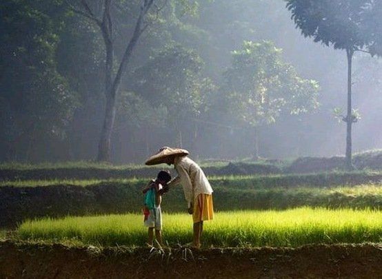 Surat untuk Ibu, untuk Sahabat, Saudara dan Segalanya