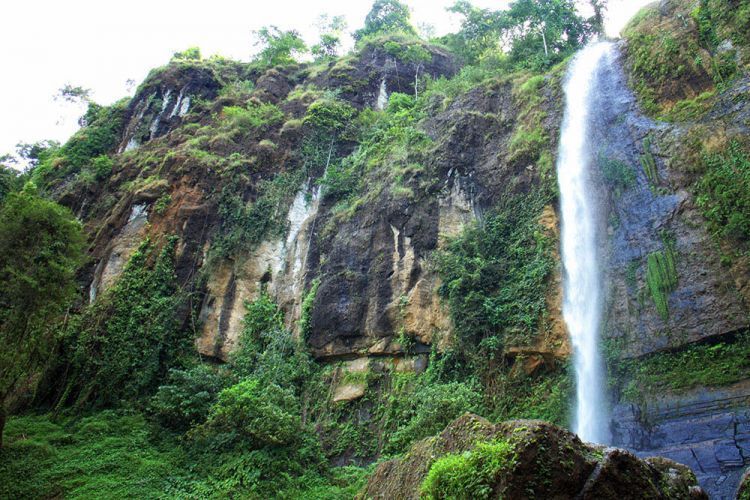 Tempat Wisata di Purworejo