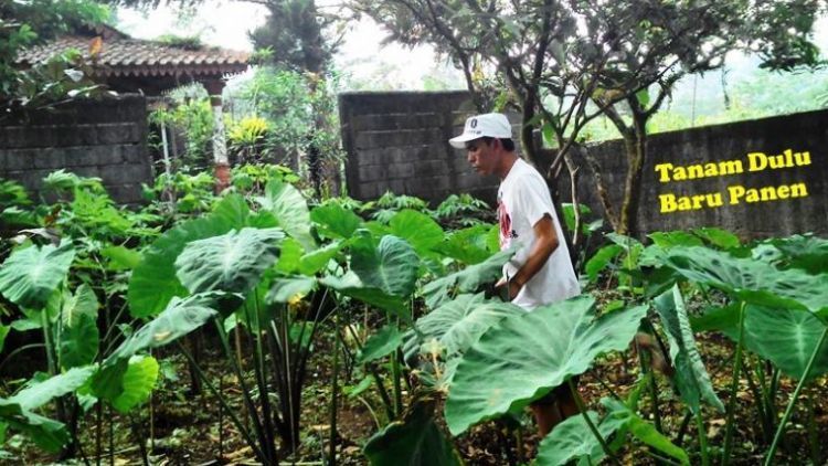 Kamu Gak Menanam, Kenapa Mau Memanen ?