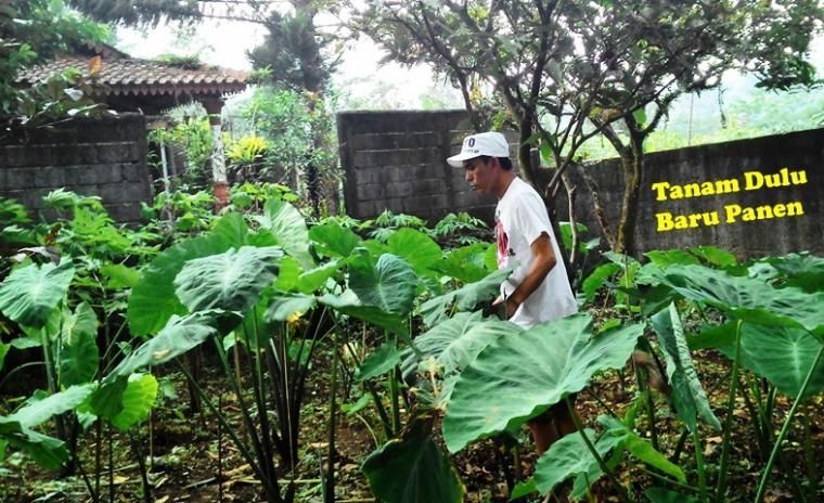 Kamu Gak Menanam, Kenapa Mau Memanen ?