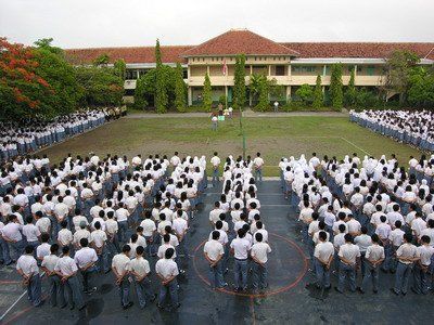 barisan favorit, baris deket pohon