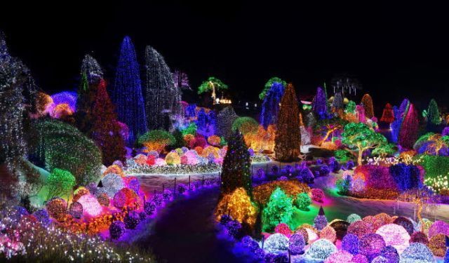 Garden of Morning Calm saat Lighting Festival, seperti di dunia dongeng