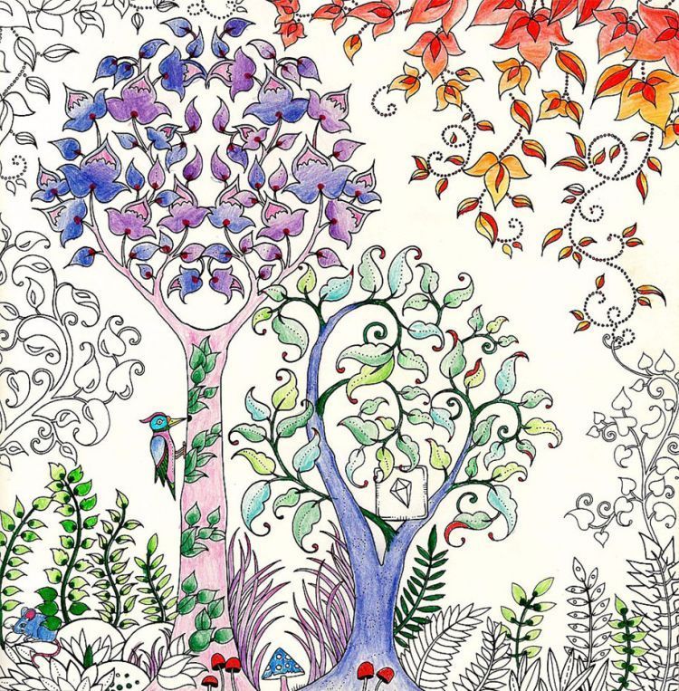 Coloring for adults