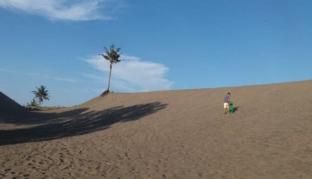 Sandboarding