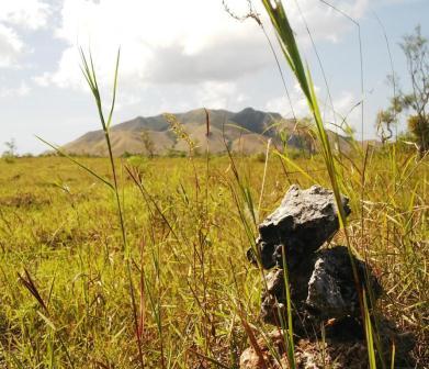 Gunung Kerbau Pulau Moa, Kabupaten Maluku Barat Daya