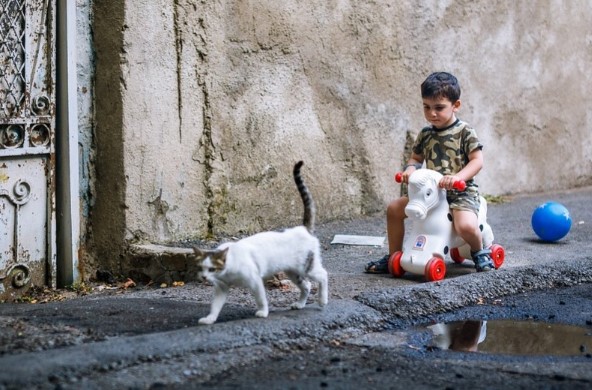 Olahraga terasyik di dunia, main dengan kucing