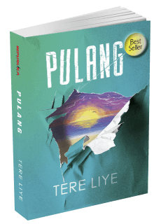 5 Hal Tentang Pulang dari Novel Pulang Tere Liye