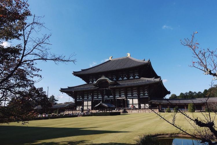 Nara castle yang legendaris