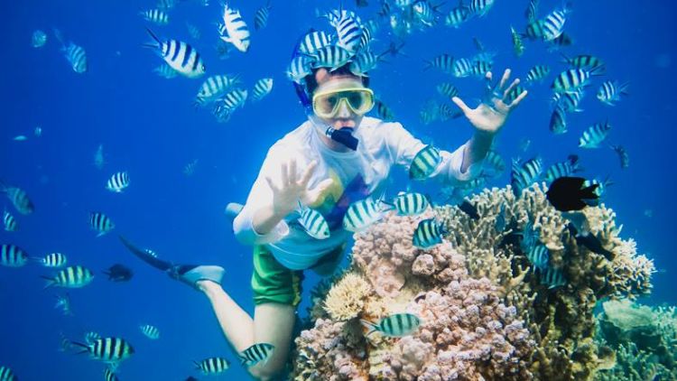 Snorkeling di Sekitar Jogja Kini Bukan Sekedar Angan. Destinasi Snorkeling ini Bikin Impianmu Jadi Kenyataan!