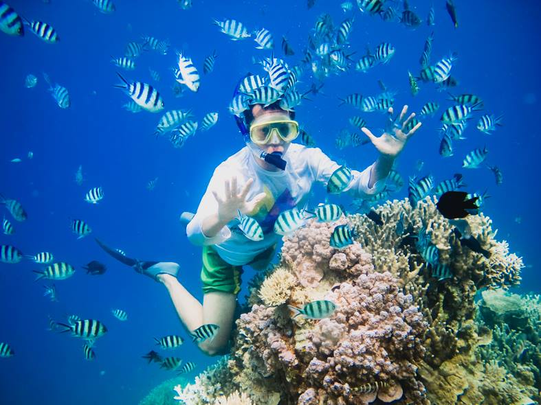 Snorkeling di Sekitar Jogja Kini Bukan Sekedar Angan. Destinasi Snorkeling ini Bikin Impianmu Jadi Kenyataan!